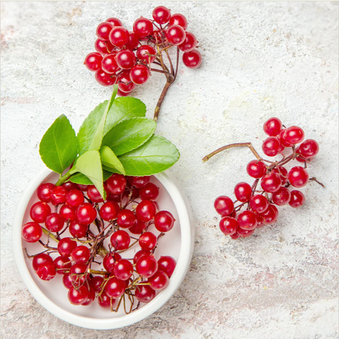 INJE SCENT l Omija Cheong 500g
