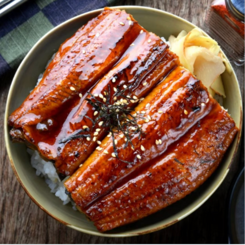 MGT l Premium Seasoned Eel 311g = 11oz
