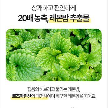 라이블링 l 애플쏙 클렌즈 자몽맛 (15ml 10개입) - 관리하는 여자들의 필수템!