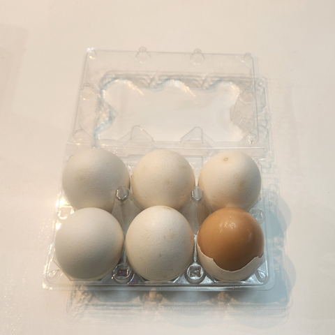 Jujeonburi l Macbanseok 6-hole baked egg - steamed egg