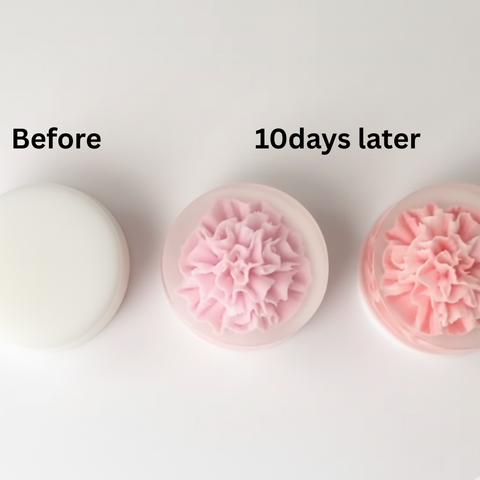 BRIO Gift Studio l 서프라이즈 Soap->10일뒤에 꽃이 피어나는 -  선물포장 - 입점할인