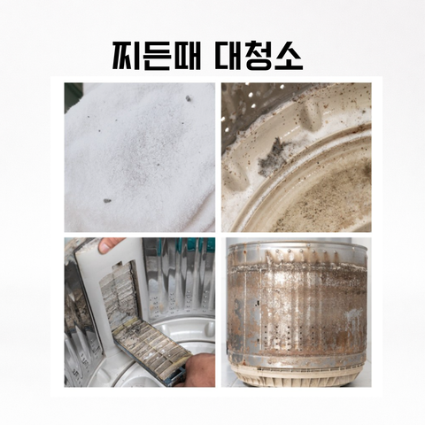 Muro l Perfume Ampoule Ultra-Powerful Capsule Washing Machine Cleaner 110g 10 units