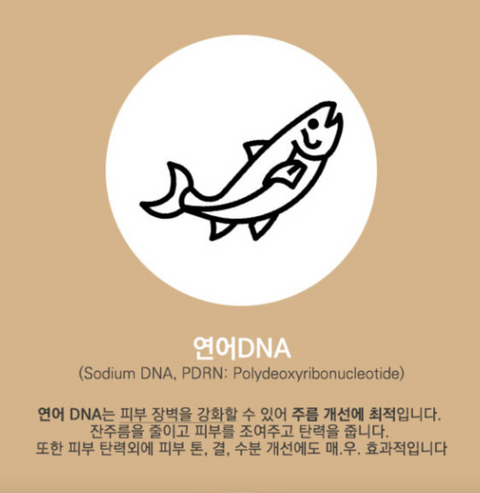 KRASNA l 어드밴스드 리버스 솔루션 주베니스 크림 50ml