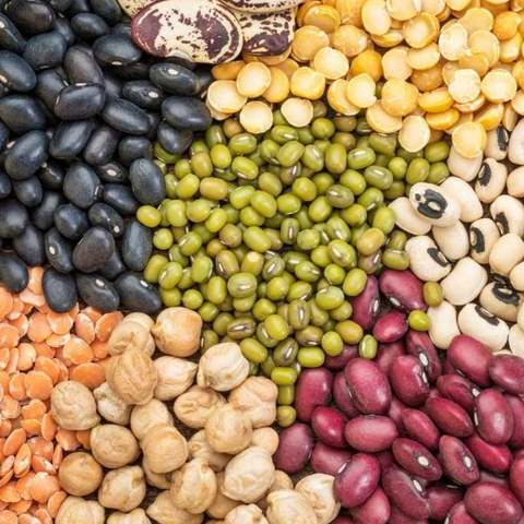 오복떡집ㅣSteamed Mixed Bean • 찐콩 2LB