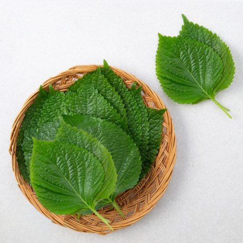 주농장 l 깻잎 2묶음