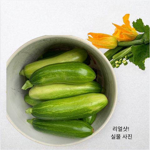 주농장 l 애호박 2개