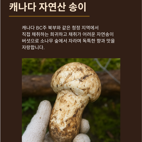 Tool l Canadian Wild Matsutake Mushrooms Grade 3 1LB