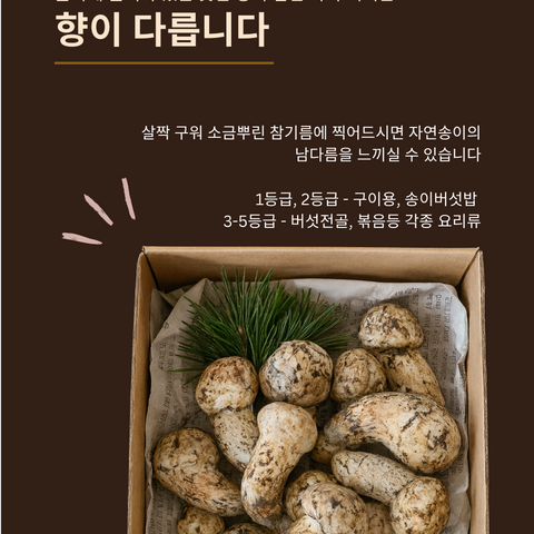 Tool l Canadian Wild Matsutake Mushrooms Grade 3 1LB