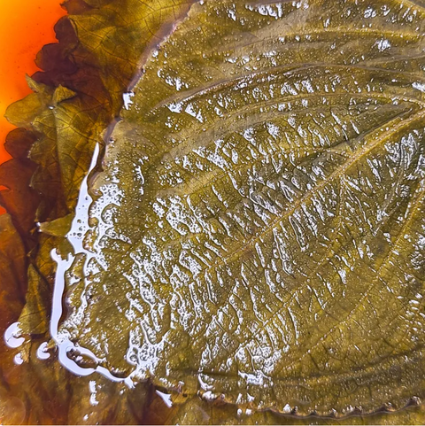 단지 l 단골반찬 간장 깻잎 250g - 입점 기념 20% 할인