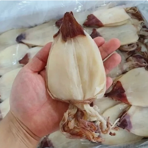 주전부리 l 마른 한치 건한치 3마리