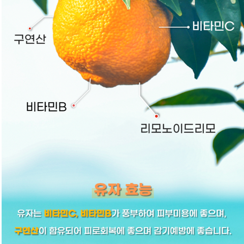 My Days l Goheung Honey Yuja Spoon Spoon 5-pack