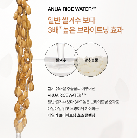 ANUA | 아누아 라이스 엔자임 브라이트닝 클렌징 파우더 40g