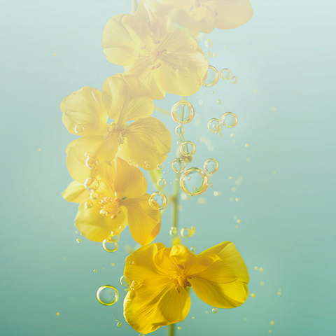 Happy Bath l Rapeseed Flower Vitamin E Body Wash 750g 