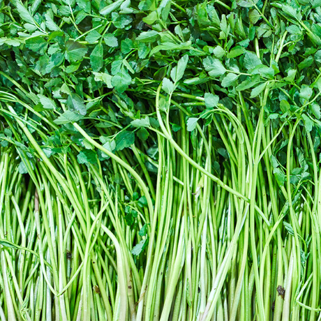 Moon's Kitchen l Organic Water Parsley (Minari) 150g