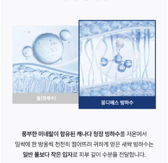 몽디에스 l 아토크림 리뉴얼 240ml