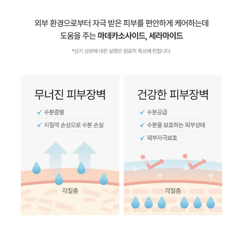 몽디에스 l 스틱밤 리뉴얼 17g