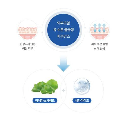 몽디에스 l 스틱밤 리뉴얼 17g