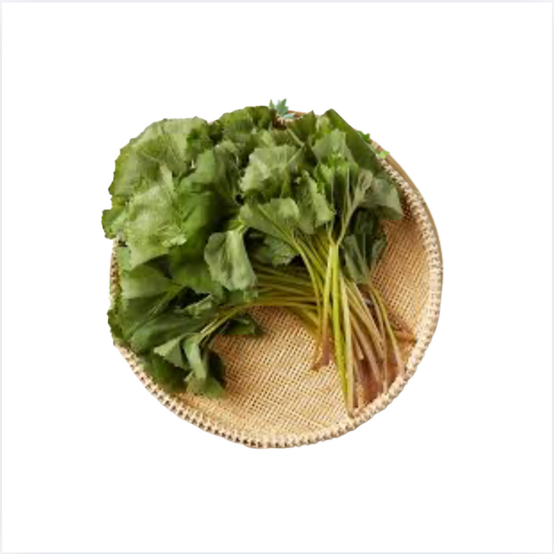 Moon's Kitchen l 유기농 머위 500g