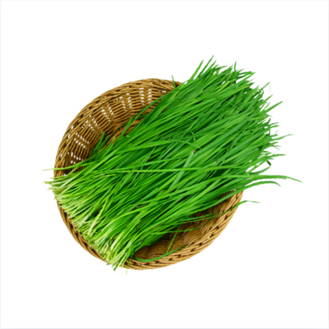 Moon's Kitchen l Organic Garlic Chives 150g
