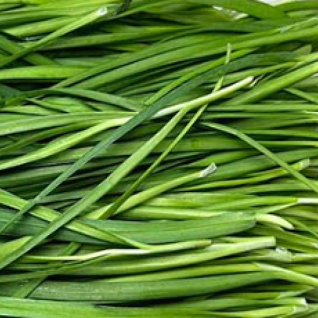 Moon's Kitchen l Organic Garlic Chives 150g