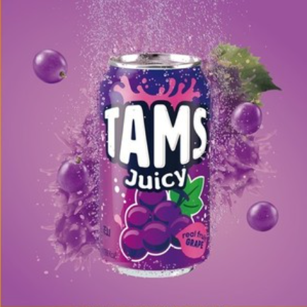 탐스 l 쥬시 포도 355ml x 6캔