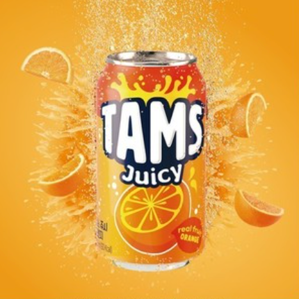 탐스 l 쥬시 오렌지 355ml x 6캔