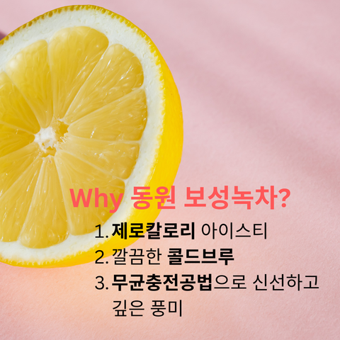 동원 | 보성녹차 아이스티 제로 - 레몬 500ml x 2병