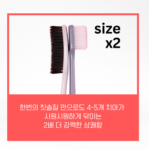 Paul Medison l Ratcha King Toothbrush Set 10P