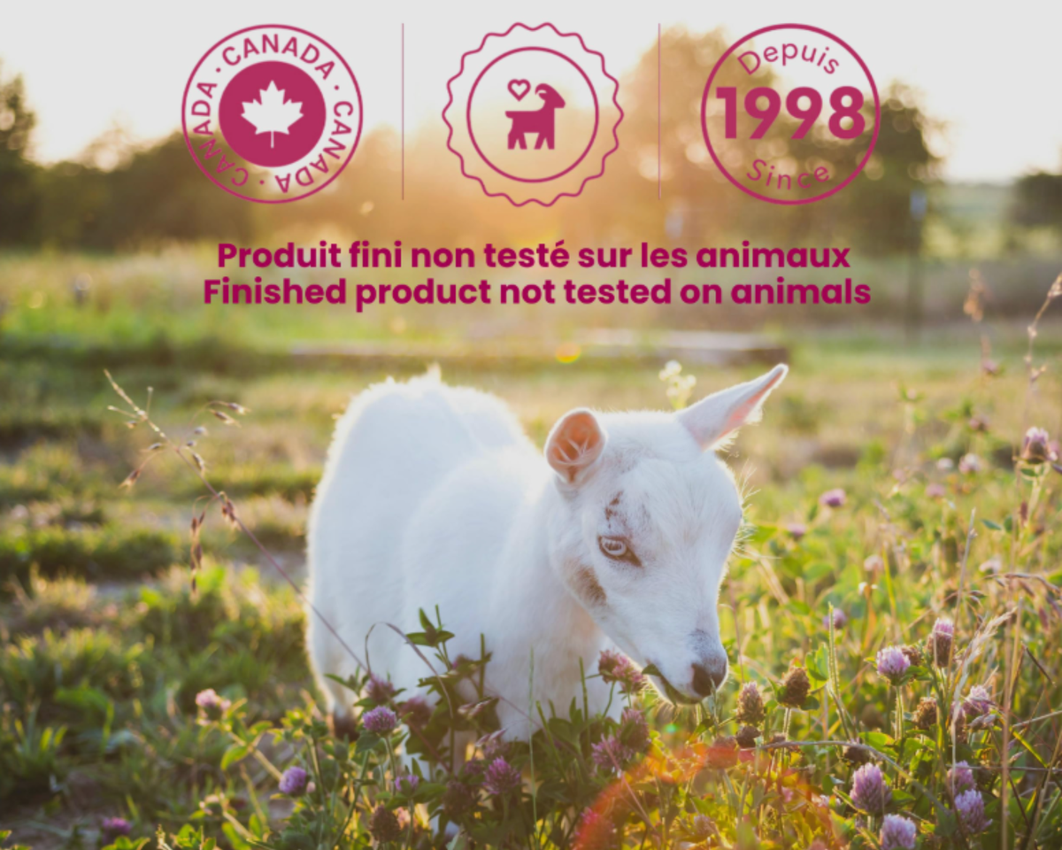 Caprina l Goat Milk Soap 고트밀크 비누 110g*16
